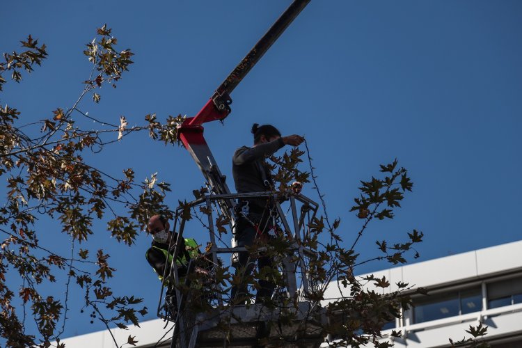 Χριστουγεννιάτικο δέντρο Σύνταγμα 2022: Έφτασε το έλατο 21 μέτρων από το  Καρπενήσι! - Ενημερωθείτε για ό,τι συμβαίνει στην Καβάλα.
