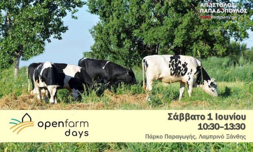 Open Farm Day 2024, Απόστολος Παπαδόπουλος Meat Company