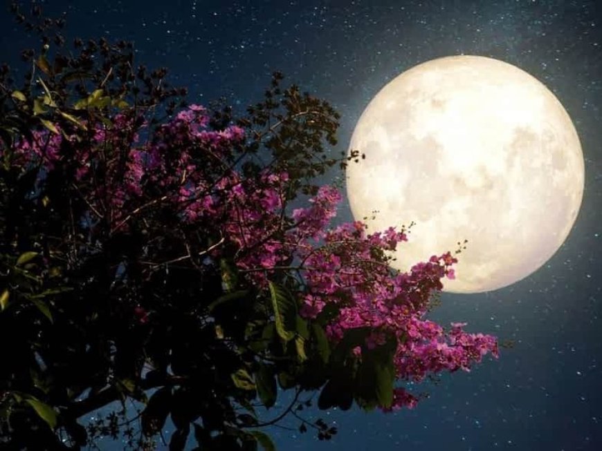 Πανσέληνος: Το εντυπωσιακό φεγγάρι των «λουλουδιών»