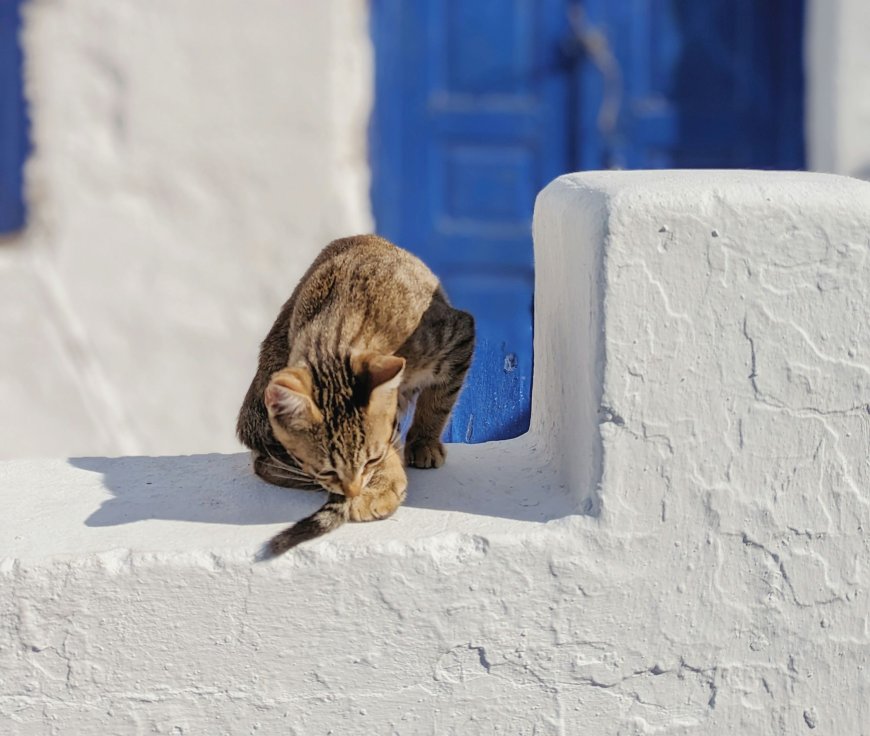 Οι πιο δημοφιλείς ελληνικοί προορισμοί 2024: Οι τάσεις που αναδεικνύει η Airbnb