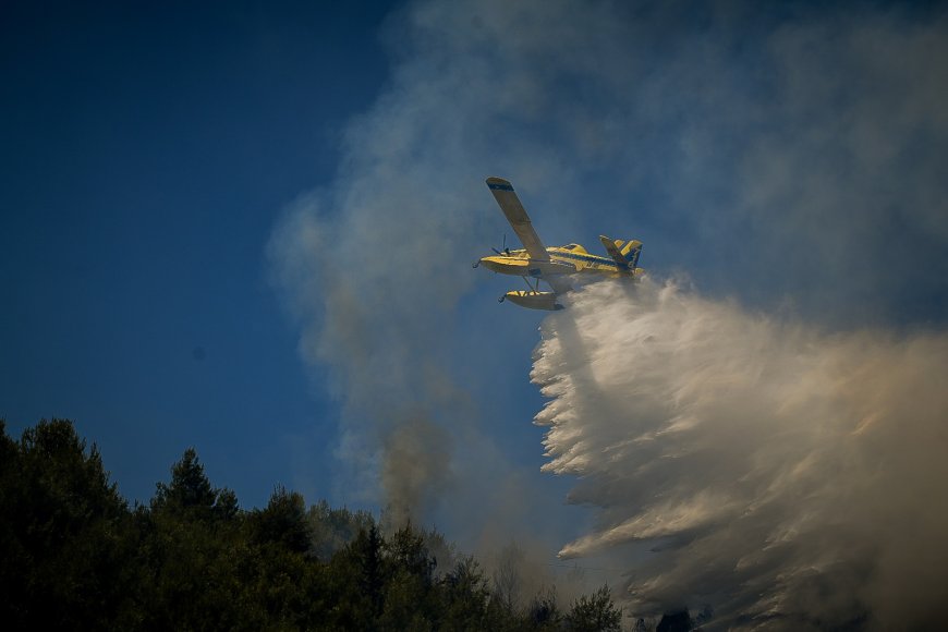 Φωτιές τώρα Ελλάδα: Η πυρκαγιά πέρασε στην Ηλεία με έναν νεκρό στη Μυρτιά – Μέτωπα σε Κρανίδι και Μεγαλόπολη