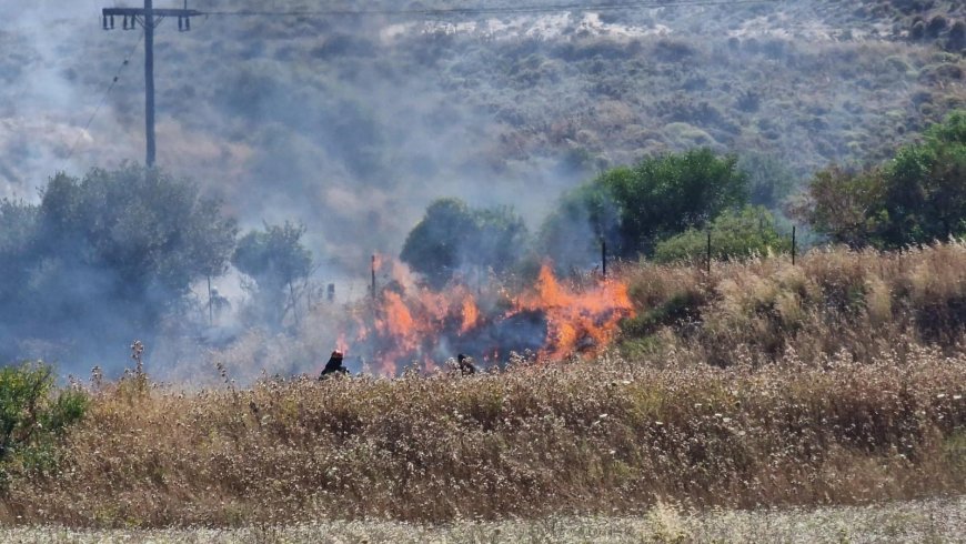 Καβάλα: Υπό μερικό έλεγχο η πυρκαγιά σε χαμηλή βλάστηση στο Ορφάνιο Παγγαίου