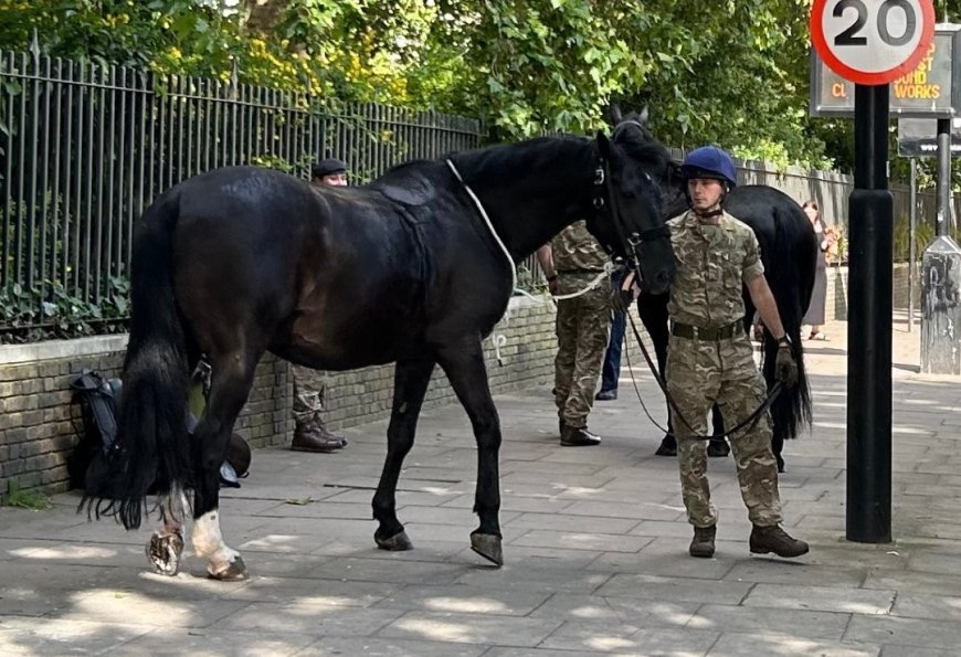 Άλογα Λονδίνο: Έτρεξαν στους δρόμους αφού έχασαν τους αναβάτες τους