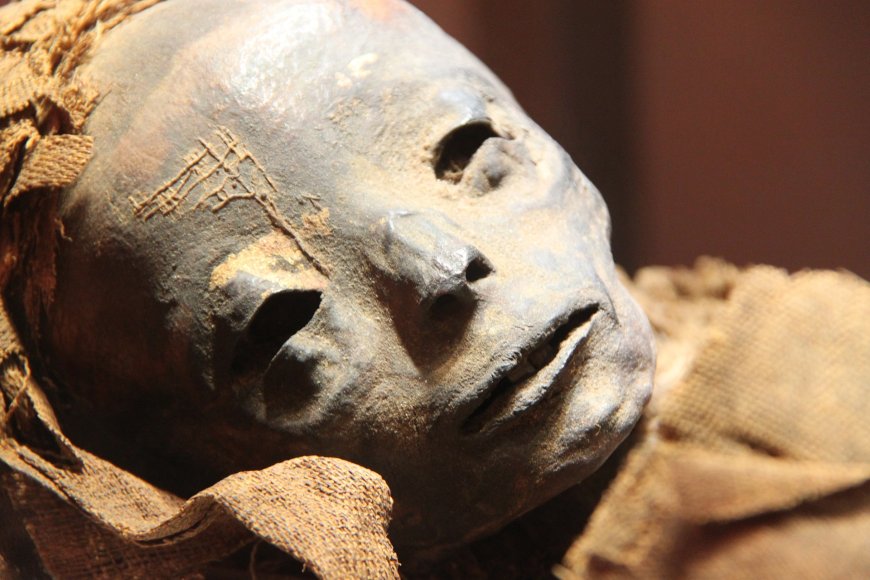 Αίγυπτος τάφοι με μούμιες: Μεγάλη ανακάλυψη στην περιοχή του Μαυσωλείου του Αγά Χαν