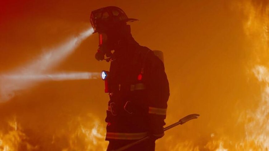 Θάνατος πυροσβέστη στη Θάσο: Σκοτώθηκε μετά από 24ωρη βάρδια καταγγέλλουν συνάδελφοί του