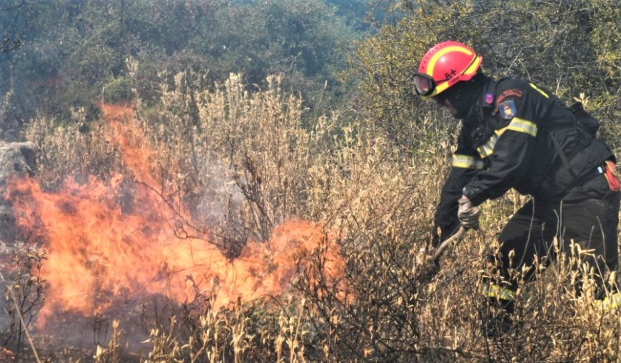 Πρόστιμο στα Αρριανά Ροδόπης για καύση καλαμιών