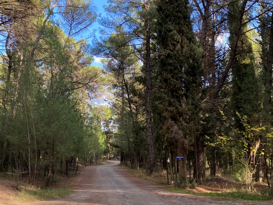 Δράμα: Την Παρασκευή ξεκινούν οι 18οι Αγώνες Βουνού Παρθένου Δάσους Παρανεστίου