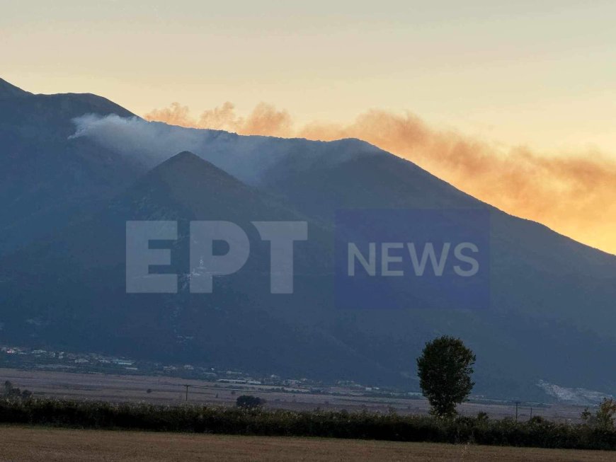 Καβάλα: Δασική πυρκαγιά σε δύσβατη περιοχή στη Νικήσιανη Παγγαίου