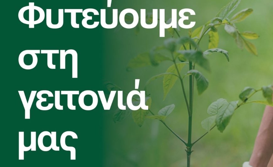 Δήμος Κερατσινίου – Δραπετσώνας: “Φυτεύουμε στη Γειτονιά μας”