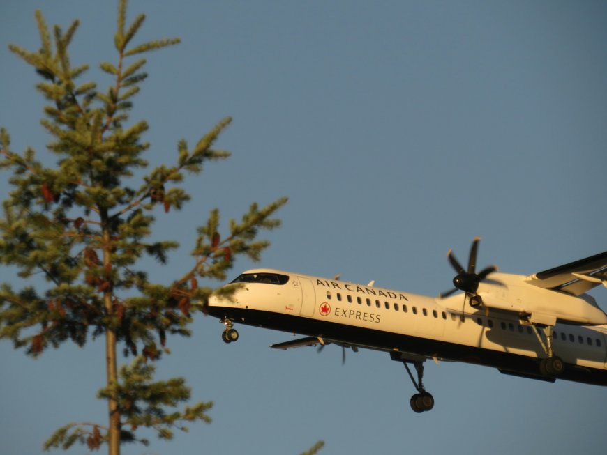 Η Air Canada δεν επέτρεψε σε διάσημο μουσικό να ταξιδέψει με τσέλο 3 εκατ. ευρώ στην καμπίνα