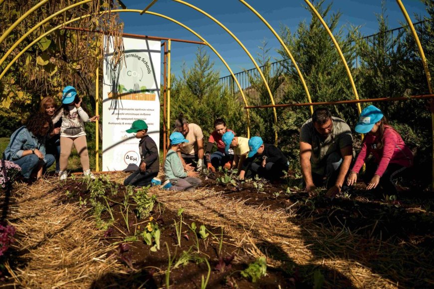 ΔΕΗ και Open Farm: Προωθούν τη βιώσιμη γεωργία στους μαθητές μέσω του “Carbon Farming Schools”