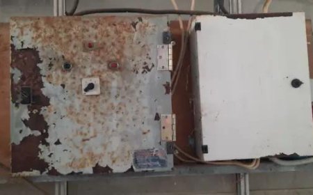 Σε… θερμοκήπιο (!) καλλιεργούσαν 1.157 δενδρύλλια κάνναβης, ύψους έως και τριών μέτρων!