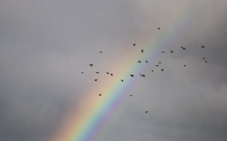 Καιρός: Βροχές και καταιγίδες το νέο 24ωρο στη χώρα