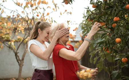 Άρειος Πάγος διατροφή: Το βάρος στους παππούδες όταν ο πατέρας δεν ανταποκρίνεται οικονομικά