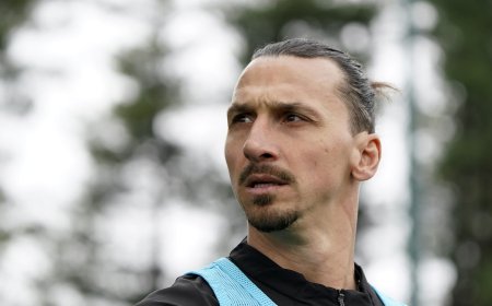 Ζλάταν Ιμπραΐμοβιτς: Από τα βάρη στη σχάρα