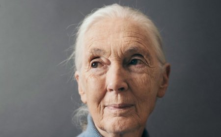 Τζέιν Γκούντολ: «Θα έστελνα τον Τραμπ, τον Μασκ και τους ισχυρούς του κόσμου σε ένα διαστημόπλοιο χωρίς επιστροφή»