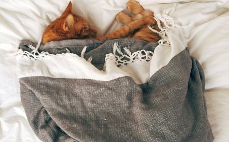 Επίδομα θέρμανσης 2025 – 2026 ποσό: Πότε ανοίγει η πλατφόρμα ποιοι θα λάβουν έως 1.200 ευρώ