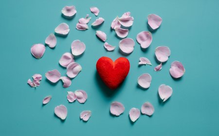 Δωρεά οργάνων Ελλάδα: Αποδίδει καρπούς η καμπάνια του υπουργείου Υγείας