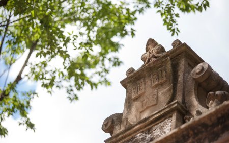 Κοινά Μεταπτυχιακά Ελλάδα: Συνεργασίες των δημόσιων ΑΕΙ με Yale, Harvard, Sorbonne και Columbia