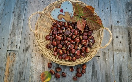 Γιορτή Κάστανου στην Ευρυτανία