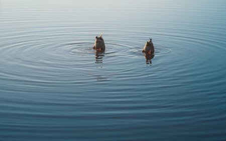 «Burning the bones of the earth»: Έκθεση για τα ασβεσταριά της Ηπείρου και της Νότιας Αλβανίας
