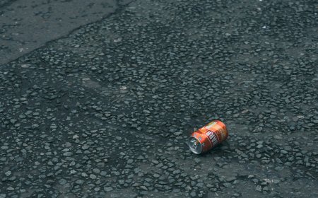 Αλβανία: Η μάχη με τα σκουπίδια που απειλεί το ευρωπαϊκό της μέλλον