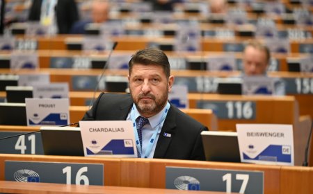 Χαρδαλιάς: Στρατηγική αλλαγή στην Αττική με το «Αέναον» και την ΟΧΕ Πρασίνου