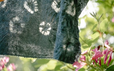 Ρώσος στο Άγιον Όρος: Μοναχός ζούσε παράνομα στη Μονή Αγίου Παντελεήμονος