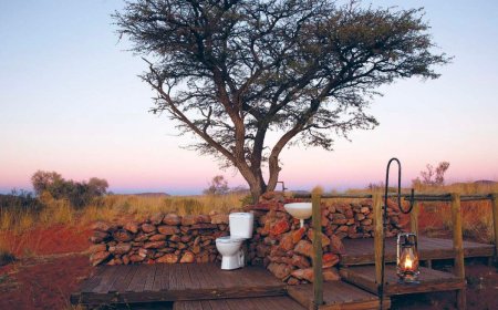 Η ομορφιά μπορεί να βρεθεί παντού: Ο γύρος του κόσμου μέσα από τις 100 πιο περίεργες τουαλέτες