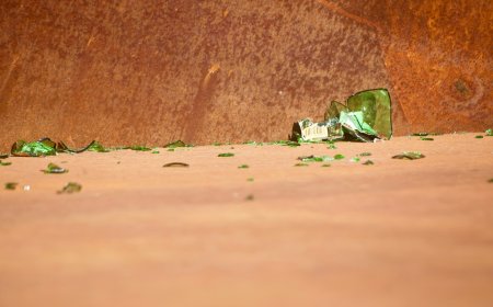 Περιστέρι δολοφονία: Παραδόθηκε ο νεαρός που σκότωσε τον Βούλγαρο έξω από κλαμπ