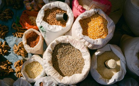 Βόλος: Μεθυσμένη 74χρονη έκανε άνω κάτω κατάστημα