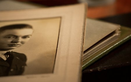Πώς μια αποικία νυχτερίδων προστατεύει διακριτικά τους θησαυρούς της Βιβλιοθήκης Joanina