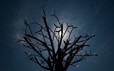 Τέμπη, Ψαρόπουλος: Δεν νομίζω να βρεθώ στη συγκέντρωση των συγγενών των θυμάτων την 28η Οκτωβρίου