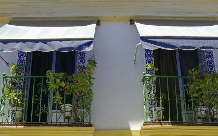 Πέταγε 50αευρα από το μπαλκόνι: Αναστάτωση στο Άργος Ορεστικό