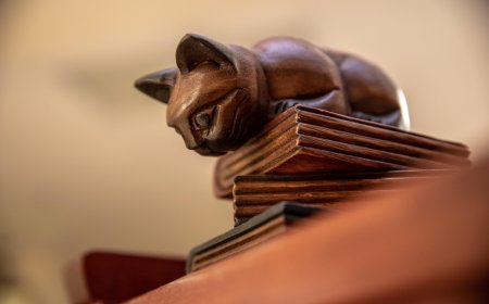 Μαζικές διαγραφές φοιτητών τον Δεκέμβριο