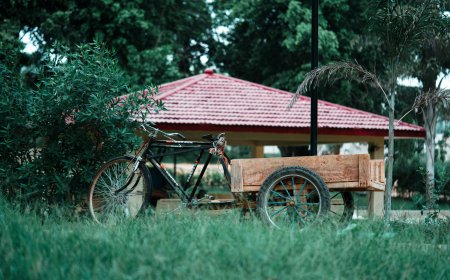 Ο Νίκος Μορφίδης κρατά ζωντανή την παράδοση των καραποιών στην Προσοτσάνη