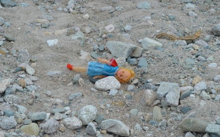 Η σφαγή του Ελ Φάσερ: 2.000 νεκροί σε ένα πεδίο αίματος ορατό από το διάστημα