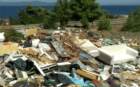 Νεκρά ζώα εντοπίστηκαν στον Ίασμο Ροδόπης – Σε σκουπιδότοπο έχουν μετατραπεί οι παλιές εγκαταστάσεις της ΕΑΣ