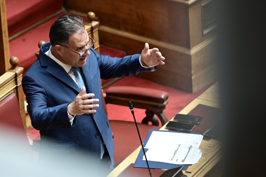 Άδωνις σε Πέρκα: Δεν σας απήγαγε κανείς, πήγατε στη Γάζα για τις σέλφι και τα βιντεάκια στο Tik Tok