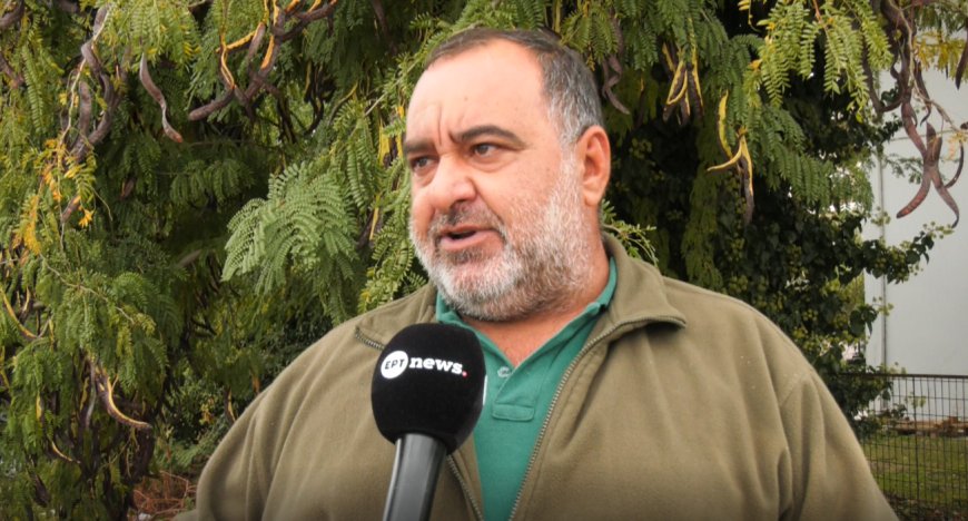 Ροδόπη: Καμία περίπτωση παράνομου εμβολιασμού αιγοπροβάτων για ευλογιά