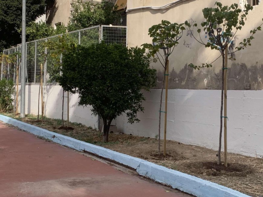Δήμος Πειραιά: Μεγαλώνει το πράσινο στις σχολικές αυλές