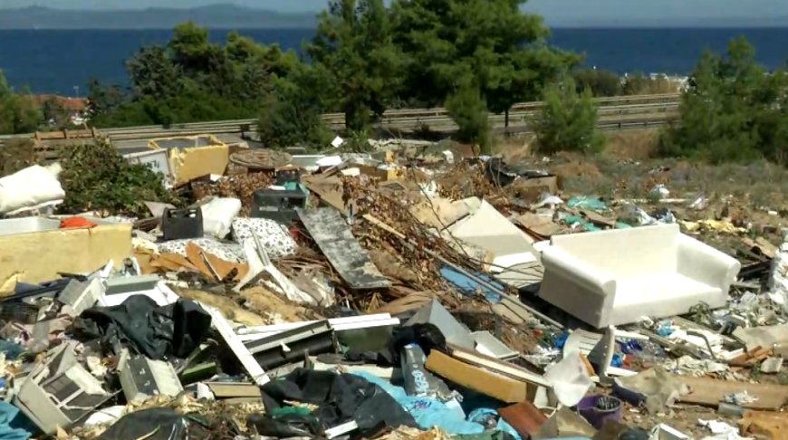 Νεκρά ζώα εντοπίστηκαν στον Ίασμο Ροδόπης – Σε σκουπιδότοπο έχουν μετατραπεί οι παλιές εγκαταστάσεις της ΕΑΣ