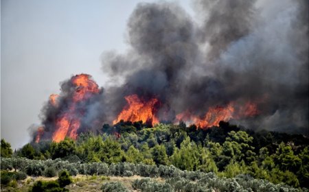 Ροδόπη: Παραμένουν σε ισχύ και κατά τη χειμερινή περίοδο τα μέτρα πρόληψης πυρκαγιών