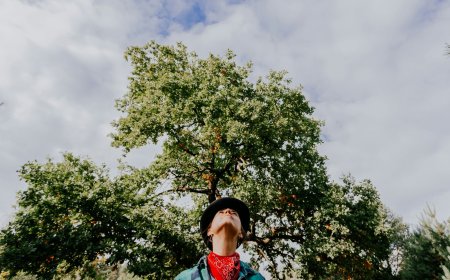 Χάρτης πληρωμών ΕΦΚΑ – ΔΥΠΑ: 69,3 εκατ. ευρώ σε 81.000 δικαιούχους