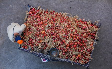 «Η μετανάστευση το μόνο ανάχωμα στην υπογεννητικότητα»