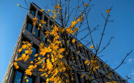 Πληθωρισμός: Ενέργεια και υπηρεσίες ανέκοψαν το ράλι