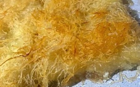 Κιουνεφέ !!!