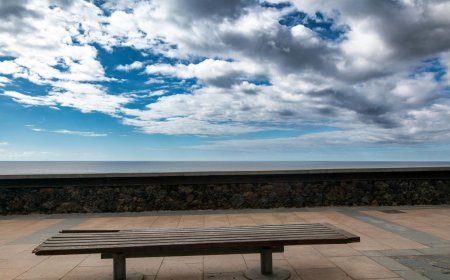 Συνέδριο στην Κηφισιά για την Κλιματική Ανθεκτικότητα – Συμπεράσματα και μηνύματα για την τοπική κοινωνία