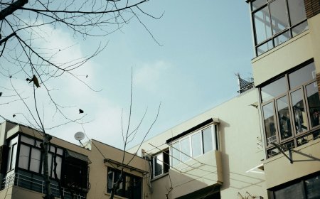 Αγριογούρουνα στο Δαφνί: Ανήσυχοι οι εργαζόμενοι για ασφάλεια και περίφραξη