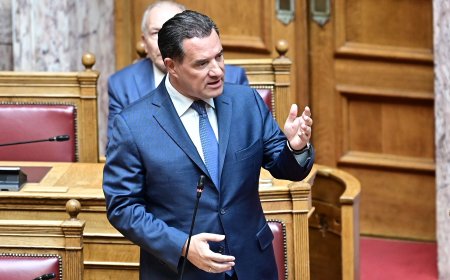 Άδωνις Γεωργιάδης για οπλοκατοχή: Έχω εκπλαγεί που υπάρχουν περιοχές της Ελλάδας που ζουν στον 19ο αιώνα